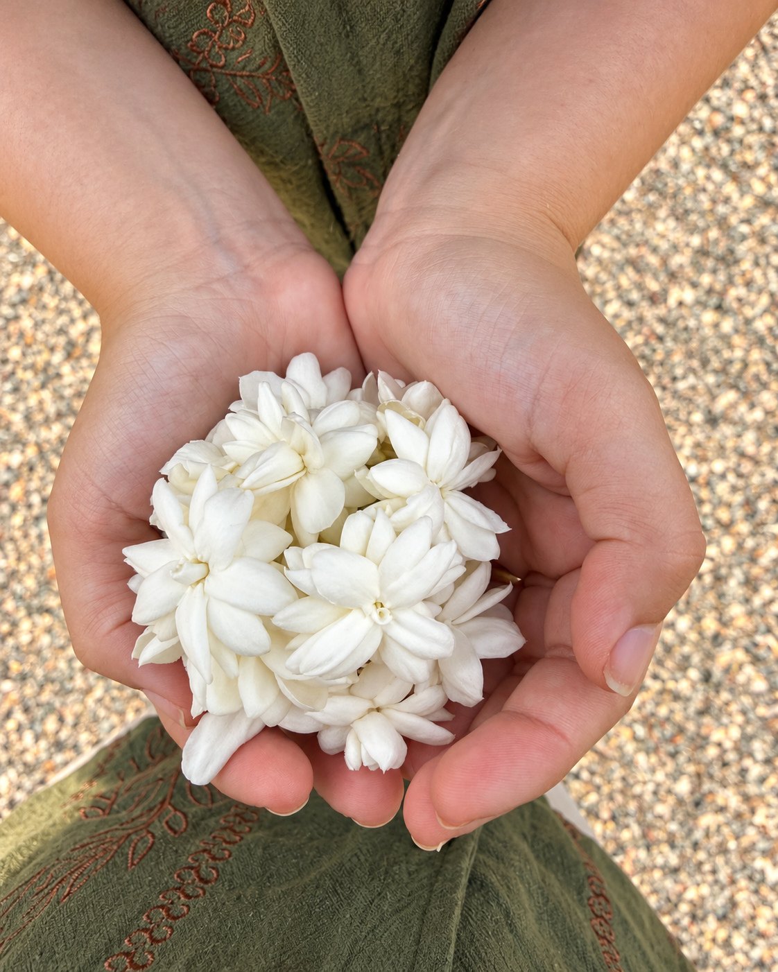 Jasmine
